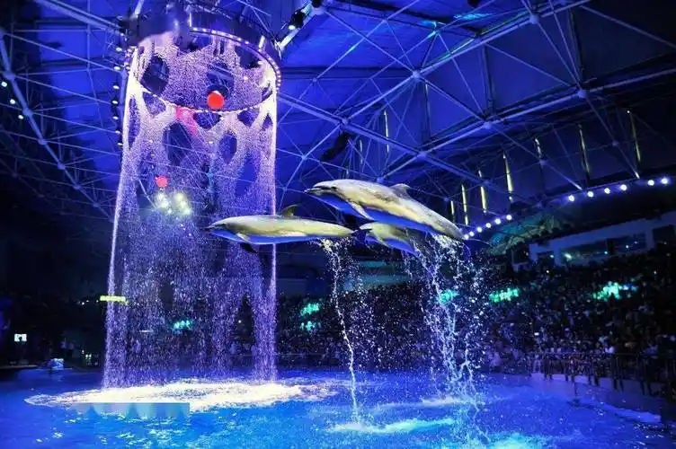 川渝联动|持乐和乐都门票,5折畅游成都海昌极地海洋公园