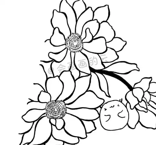 花纹简笔画【简单的花纹图案】