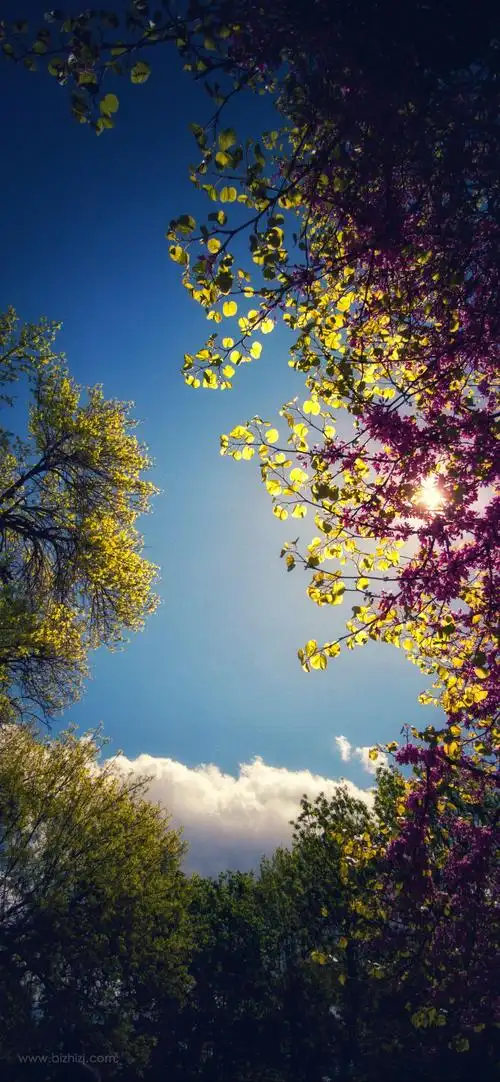高清山水风景图片手机壁纸