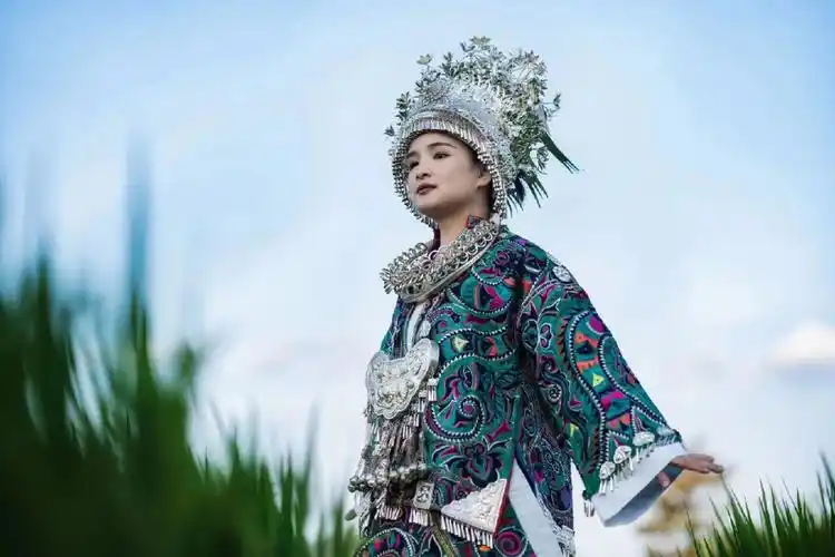 大山深处的百鸟衣