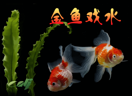 550_400gif 动态图 动图