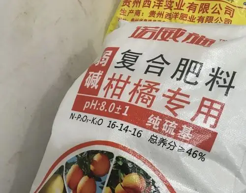 与其他肥料相比,使用西洋柑橘专用肥的冰糖橙不但树势壮旺,而且坐果率