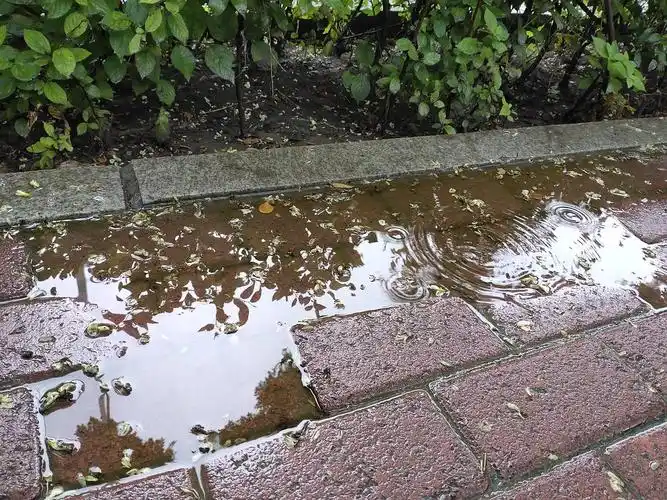 雨中水洼里的各种东西