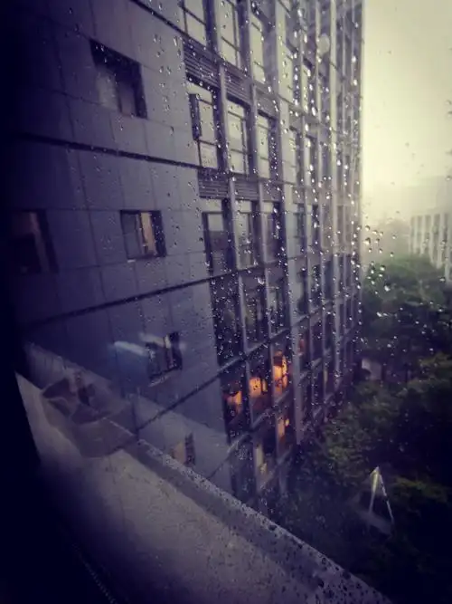 6月15日,办公室窗外的雨景