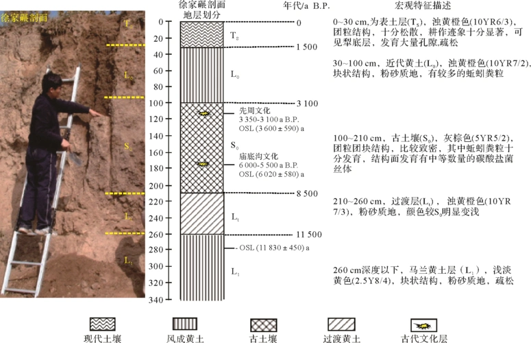 甘肃庄浪县徐家碾(xjn)全新世黄土古土壤剖面