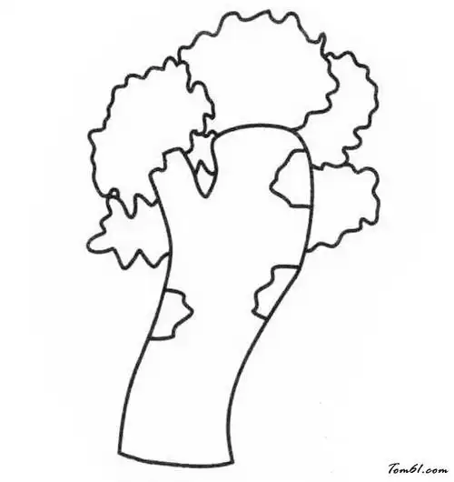 幼儿法桐树的简笔画 简笔画图片大全-蒲城教育文学网