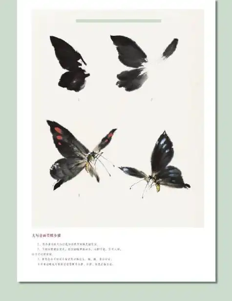 国画蝴蝶的画法和步骤 国画蝴蝶的画法和步骤图片