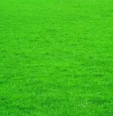 由于我们大家每天都要看微信,如果愿意,我建议大家置换背景图,保护