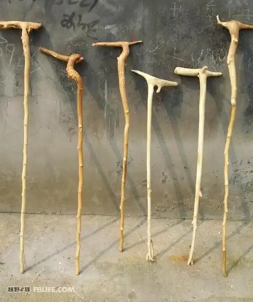 出几个山枣木把玩拐杖