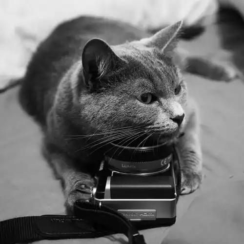 嗯哼 意境 相机 女生头像 韩国 韩头 背影 可爱 小清新 唯美 收集by