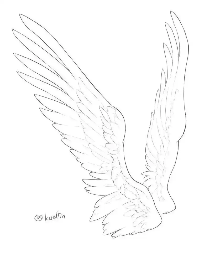 这组"翅膀"素材绝了!