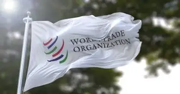 wto视频素材下载,wto模板下载_凌晨两点视频素材网