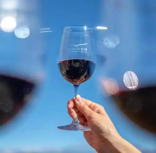 举杯共饮国民饮料欢庆阿根廷葡萄酒日