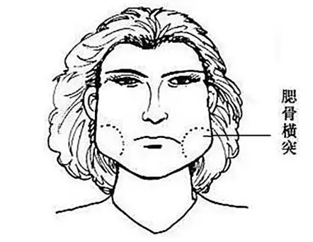 腮骨面相图解什么是腮骨面相下颌角,俗称"腮骨",位