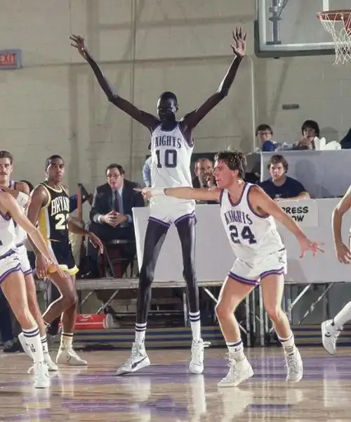 马努特-波尔出生于1962年的苏丹,在1985年参加nba选秀大会,凭借惊人的