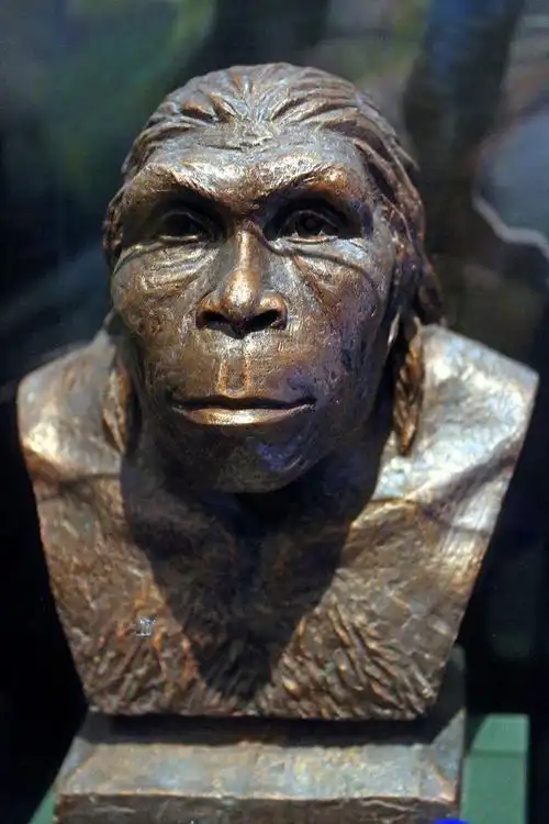 其它 趣谈古今 写美篇在我国境内最早的原始人,是出现在距今170万年前