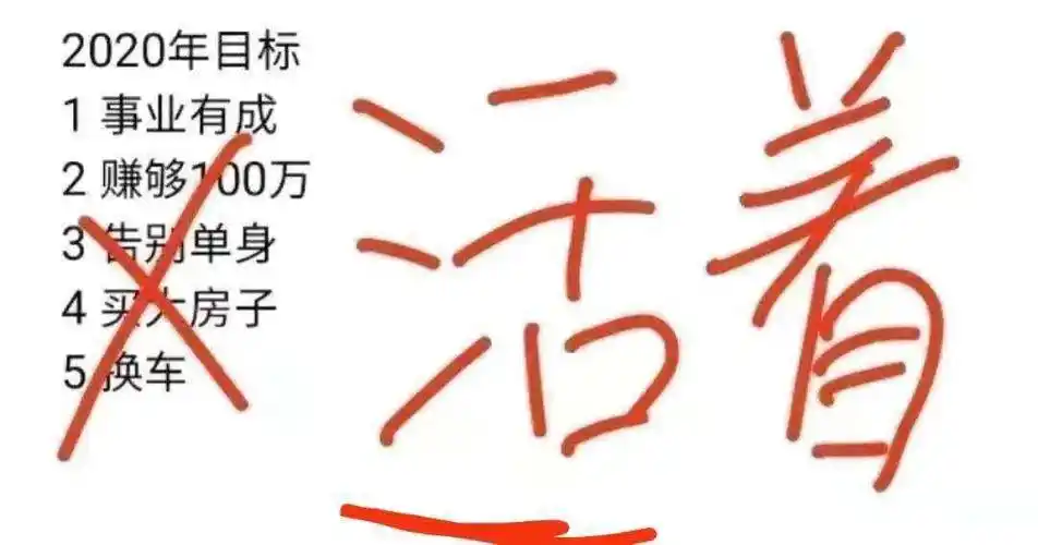 2020年,大家的奋斗目标和心愿是什么?都来说说