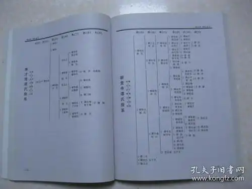 谭澄房谱(谭氏族谱.四川省,重庆市一带.