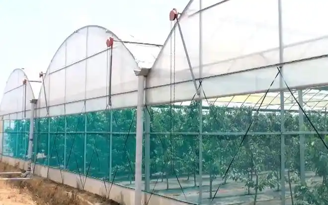 大樱桃7月20号才上市,价格将近50一斤!这个模式值得发展吗?