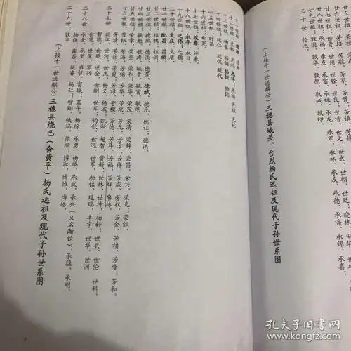 杨氏族谱四知堂