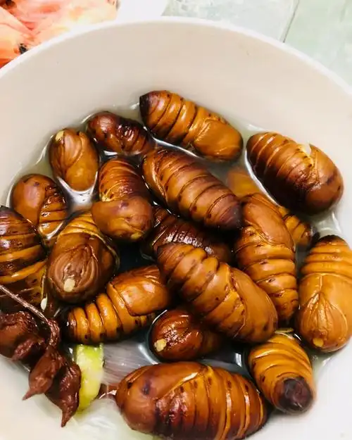 这道比小龙虾还要好吃的下酒"食材",有多少人是不敢吃的?_蚕蛹