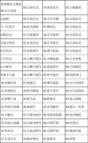 传统杨氏太极剑68式剑谱