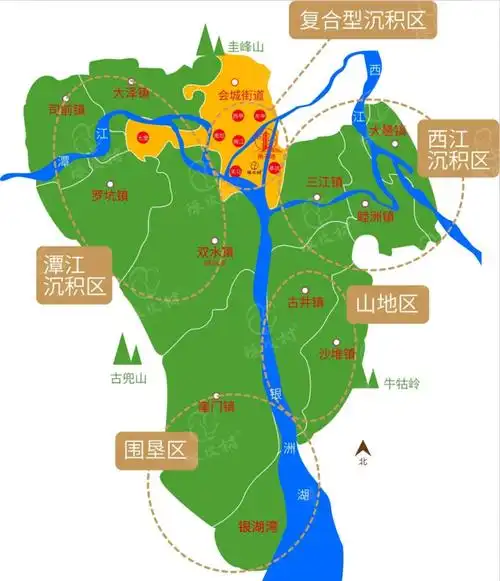 新会陈皮与普通陈皮真的不一样