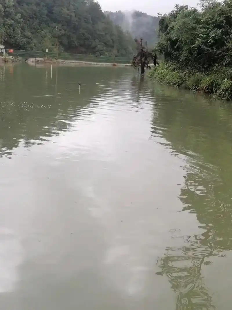 钓鱼须知   进鱼塘每个人30元,可以钓两斤鱼走,限早上7点 - 抖音