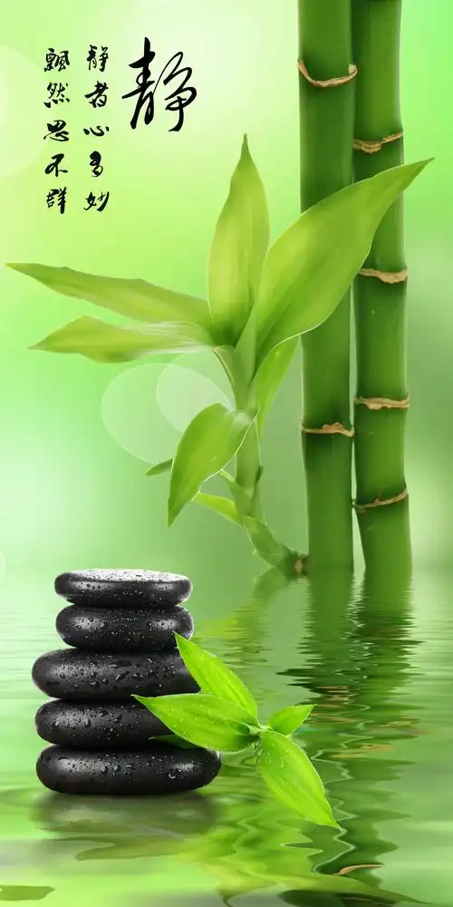 移门,电视背景墙,3d效果图,5d,高清图,高清平开门,lyf-299,富贵竹