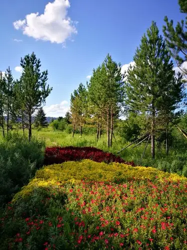 2017年夏季自驾游北方(六)大兴安岭之漠河北极村