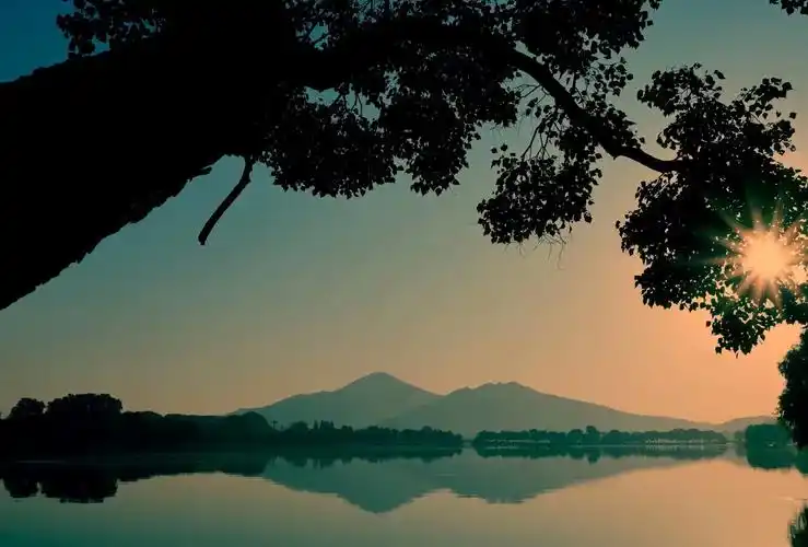 秋晨小景_风景_poco摄影