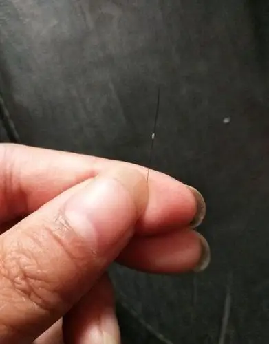 之前有知友问我,掉落的头发有小白点是不是毛囊.