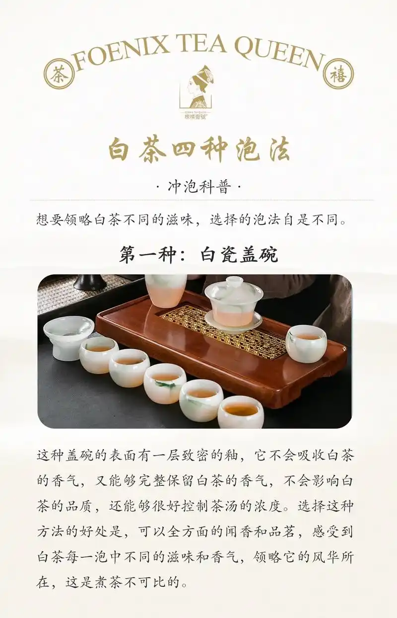 【茶禧壹號大讲堂】教你迅速掌握白茶冲泡法.