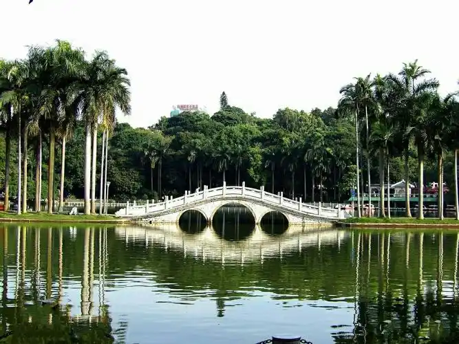 台风"山竹"走了,南宁的公园,一片清新,更加妩媚