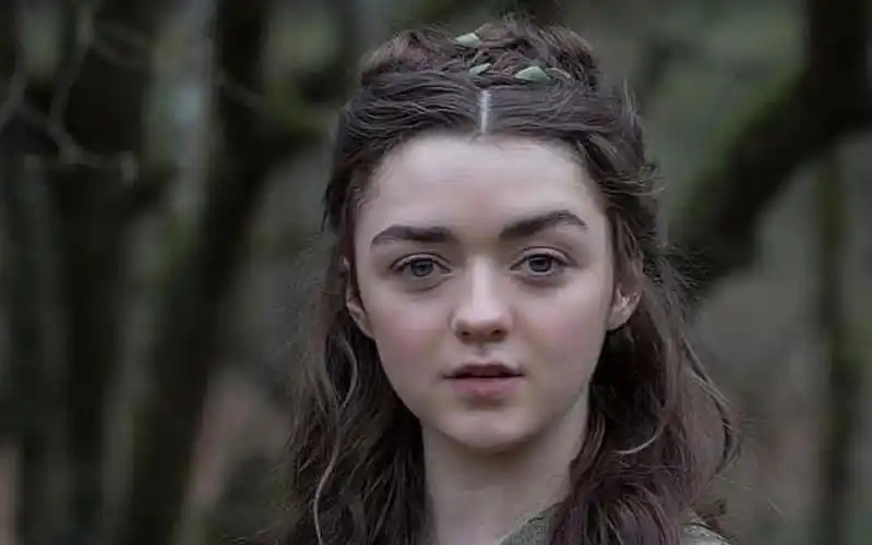 权力的游戏 || 艾莉亚 史塔克 arya stark - survivor