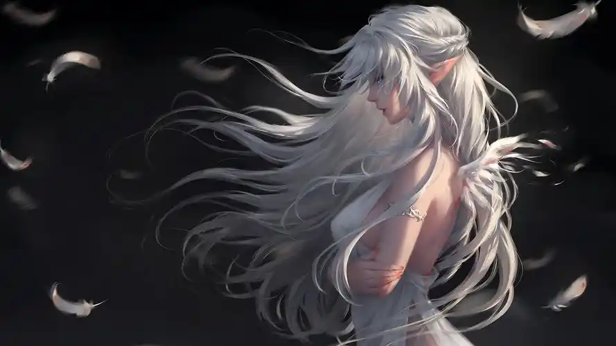 唯美白衣天使羽毛动漫壁纸