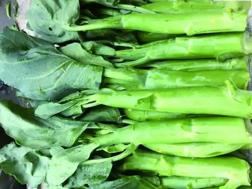 【风味台山】"茎"好吃的台山芥兰莲藕和茨菰