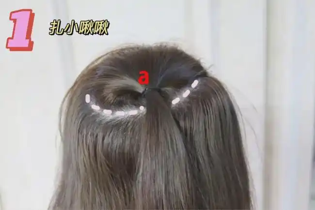 ①取头顶一撮头发(粉色框内的a区),用橡皮筋扎起来.