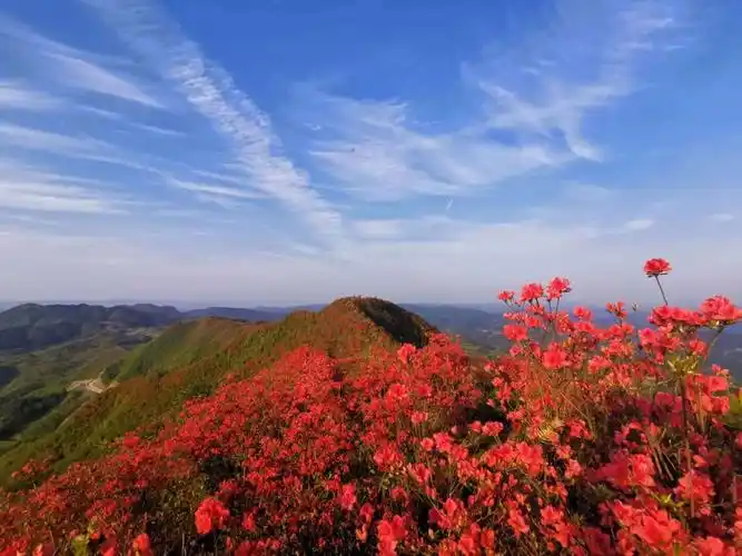 相约大高山 游方映山红 2020