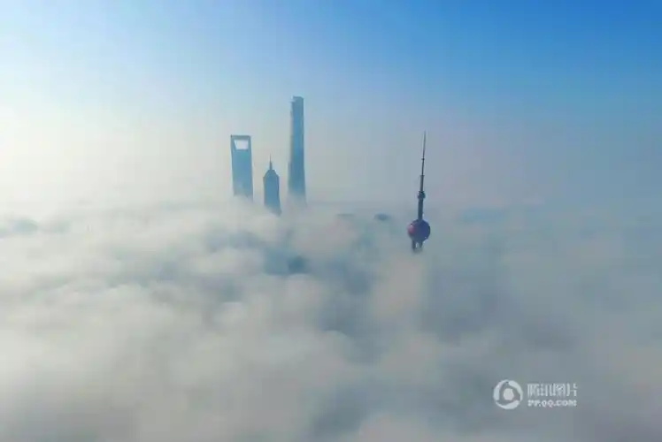 上海摩天大楼置身"云海" 宛若仙境