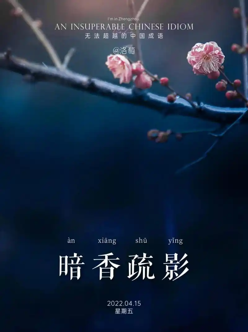 无法超越的中国成语|暗香疏影  暗香:指梅花清幽的香气.