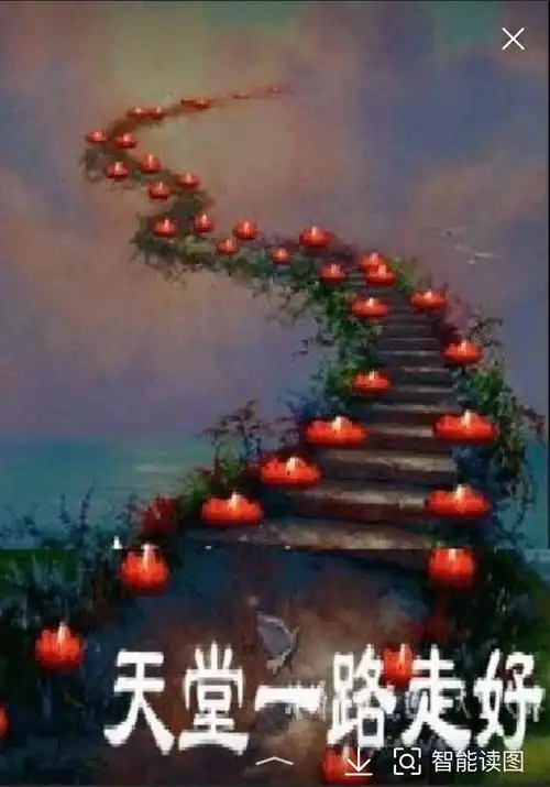 愿你一路走好,愿天堂没有病痛折磨