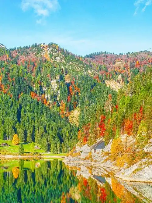 有些景象真的会让人感到舒心