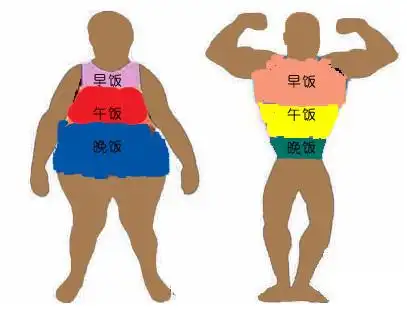 我想瘦下来——不改变饮食规律的  促使脂肪达到自主分解消解的状态