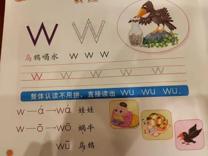 (3)声母"w".