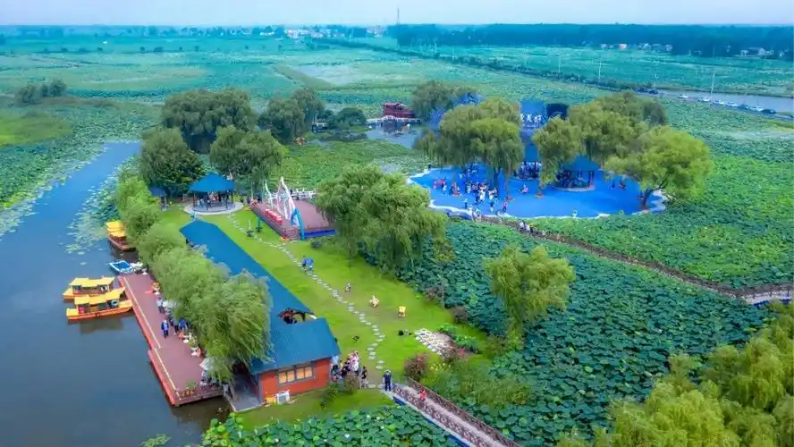 部主办,扬州市摄影家协会,宝应县文联,宝应县射阳湖镇党委政府承办