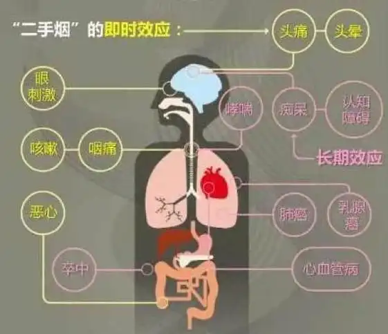 【健康教育知识科普】吸烟对青少年的危害67
