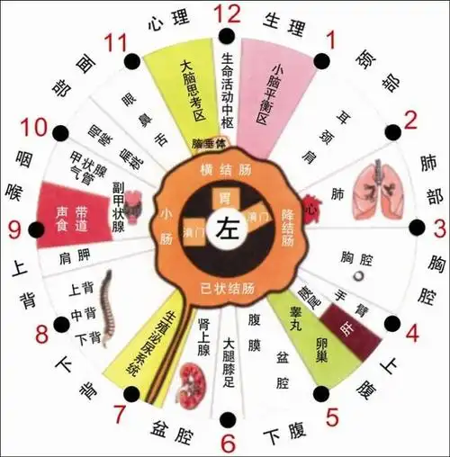 小小"虹膜",透露健康_手机搜狐网