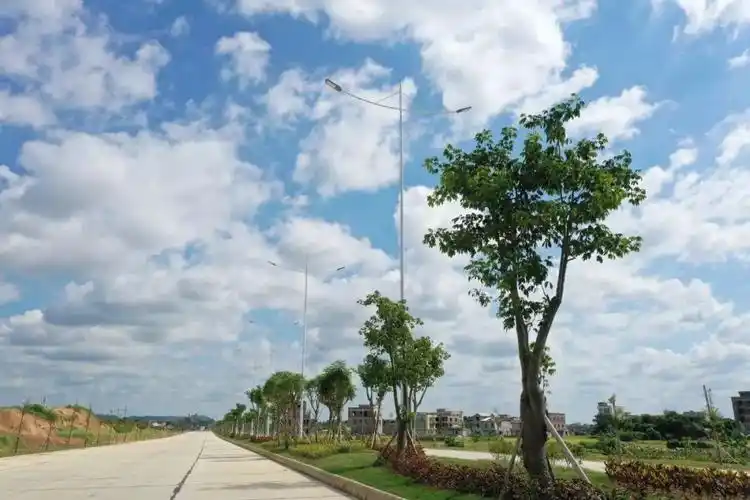 东环大道的建设,把东部城郊及农村纳入城区,与廉江大道,罗州大道和北