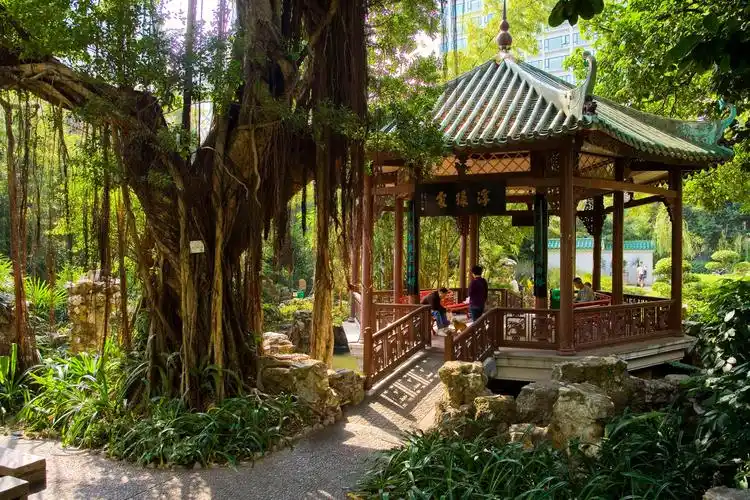 卢廉若公园位于澳门半岛的中部,东望洋山的北麓,罗利老马路与荷兰园马